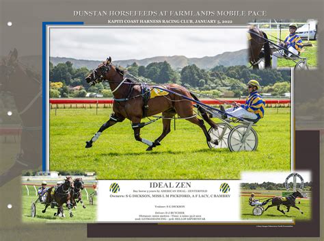 harness racing nz|nz harness racing results.